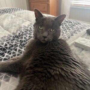 Meet your Posher, Sue